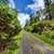 10.33 acres 3 separate parcels. Photo 7