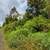 10.33 acres 3 separate parcels. Photo 8