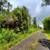 10.33 acres 3 separate parcels. Photo 9