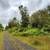 10.33 acres 3 separate parcels. Photo 10