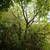 CHOICE 1 ACRE LOT ON PAVED ROAD. Photo 3