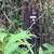 CHOICE 1 ACRE LOT ON PAVED ROAD. Photo 5
