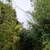 CHOICE 1 ACRE LOT ON PAVED ROAD. Photo 6
