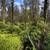 $667mo | 3 acres in Hawaiian Acres for sale or finance on Io Kea Rd. Photo 2
