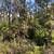 $667mo | 3 acres in Hawaiian Acres for sale or finance on Io Kea Rd. Photo 6