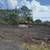 3 acres in orckidland subdivision 38th ave.1 acre ripped,. Photo 2