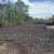 3 acres in orckidland subdivision 38th ave.1 acre ripped,. Photo 5