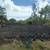 3 acres in orckidland subdivision 38th ave.1 acre ripped,. Photo 6