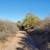 5 acres near Wittman - 921. Photo 4