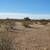 5 acres near Wittman - 921. Photo 5