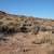 One to Five View Lots Land. Photo 8