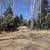 💥 ELK HUNTER’S PARADISE - 2.86 Acres Borders National Forest! (Gated). Photo 2