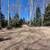 💥 ELK HUNTER’S PARADISE - 2.86 Acres Borders National Forest! (Gated). Photo 3