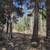 💥 ELK HUNTER’S PARADISE - 2.86 Acres Borders National Forest! (Gated). Photo 4