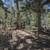 💥 ELK HUNTER’S PARADISE - 2.86 Acres Borders National Forest! (Gated). Photo 6