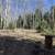 💥 ELK HUNTER’S PARADISE - 2.86 Acres Borders National Forest! (Gated). Photo 7