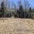💥 ELK HUNTER’S PARADISE - 2.86 Acres Borders National Forest! (Gated). Photo 8