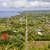For Sale Desirable 1 Acre Lot, Lower HPP Near Ocean and Paved Road!. Photo 2