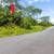 For Sale Desirable 1 Acre Lot, Lower HPP Near Ocean and Paved Road!. Photo 3