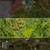 For Sale Desirable 1 Acre Lot, Lower HPP Near Ocean and Paved Road!. Photo 4
