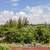 For Sale Desirable 1 Acre Lot, Lower HPP Near Ocean and Paved Road!. Photo 6