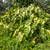For Sale Desirable 1 Acre Lot, Lower HPP Near Ocean and Paved Road!. Photo 8