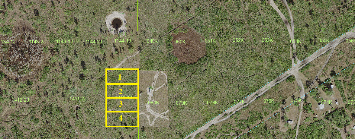 $6,700, Suburban Estates, Holopaw