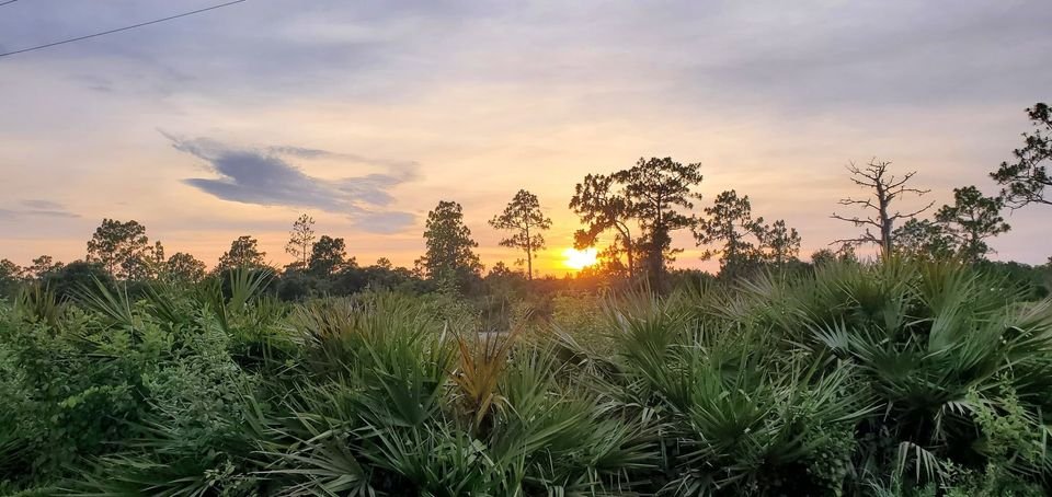 Land for Sale — Suburban Estates, Holopaw
