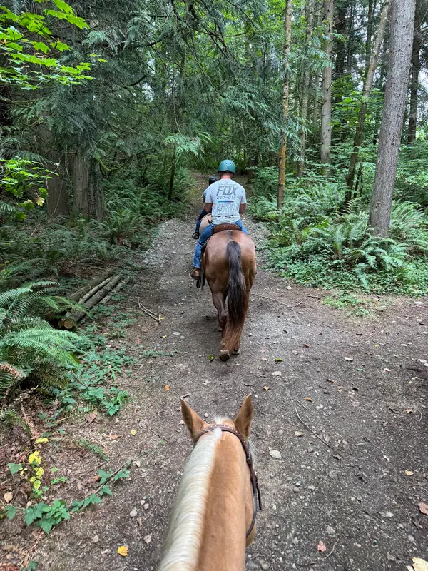 Lang's Horse & Pony Farm