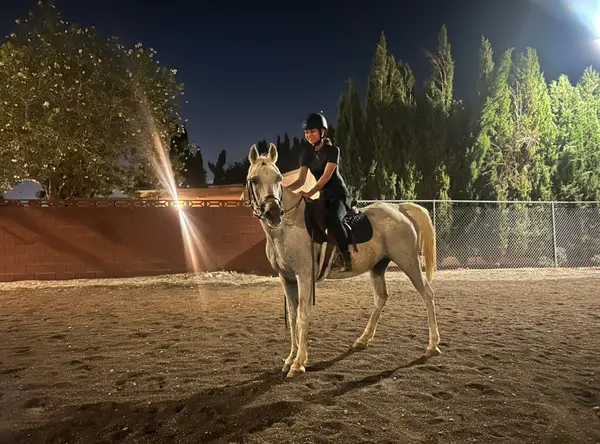 Las Vegas Riding Instruction
