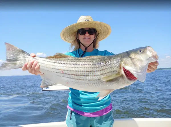 Last Hurrah Charter Fishing