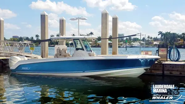 Lauderdale Marina