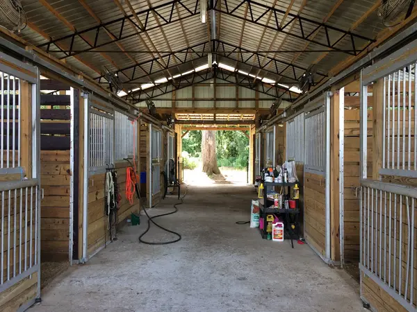 Lazy J Farm Ocala, photo 2