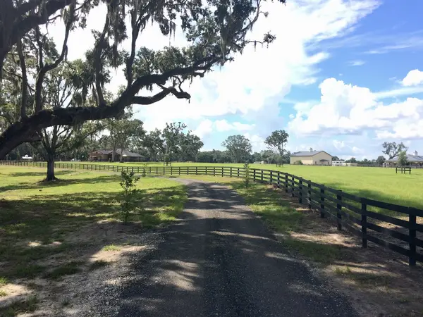 Lazy J Farm Ocala, photo 1