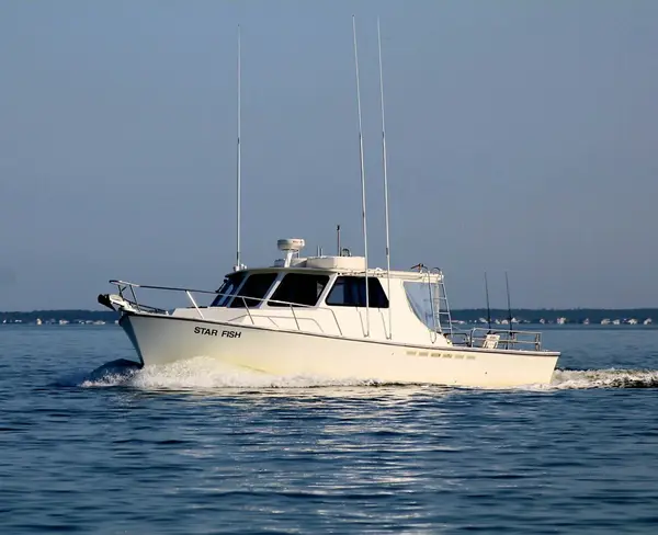 LBI Fishing Charters
