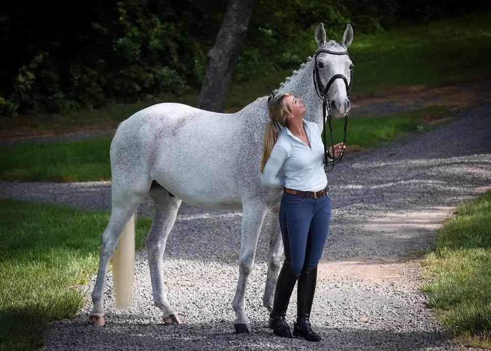 LCH Equestrian at Sunflower Hill Farm