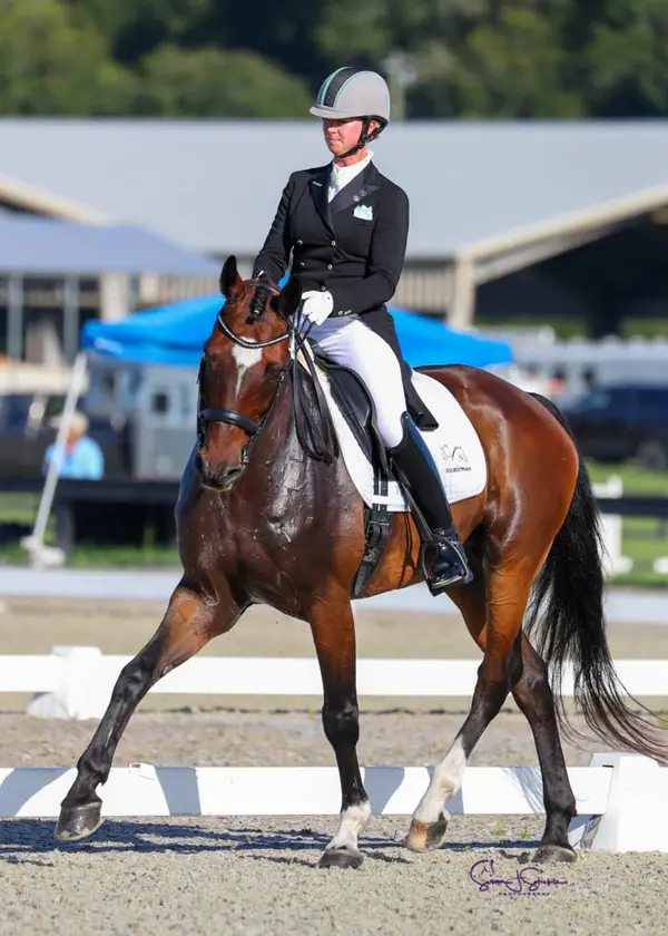 LCH Equestrian at Sunflower Hill Farm, photo 1