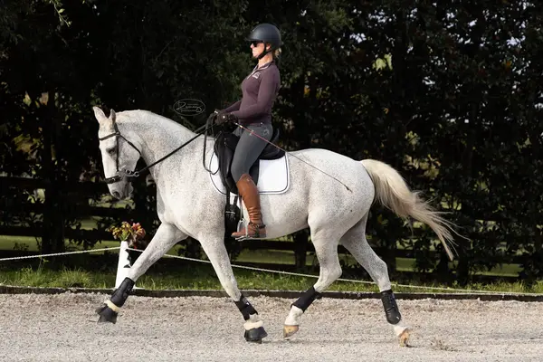 LCH Equestrian at Sunflower Hill Farm, photo 3