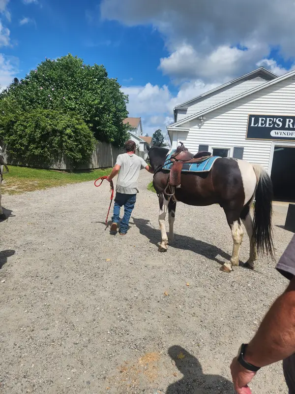 Lee's Riding Stable Inc, Litchfield, CT