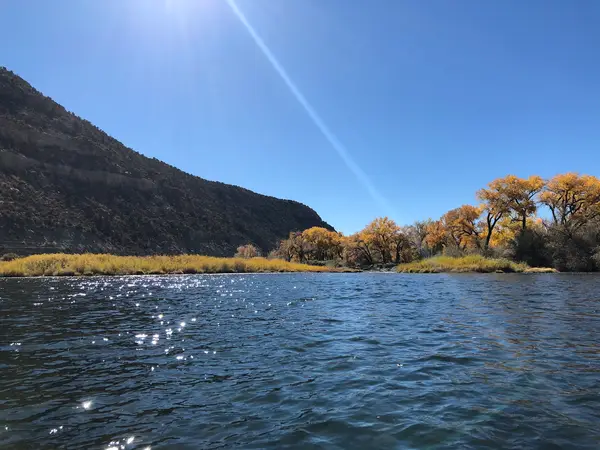 Legacy angling, Navajo Dam, NM