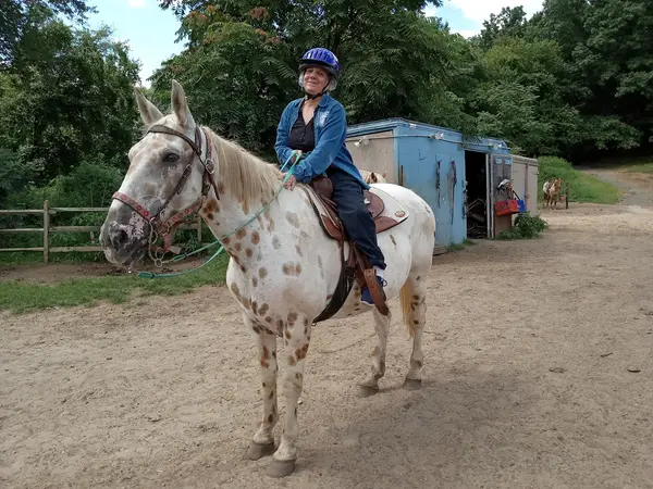 Legacy Riding Stables