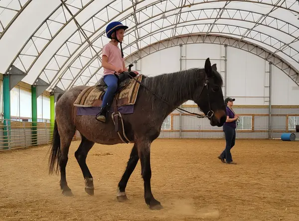 Legacy Stables and Karin’s Horse Connection