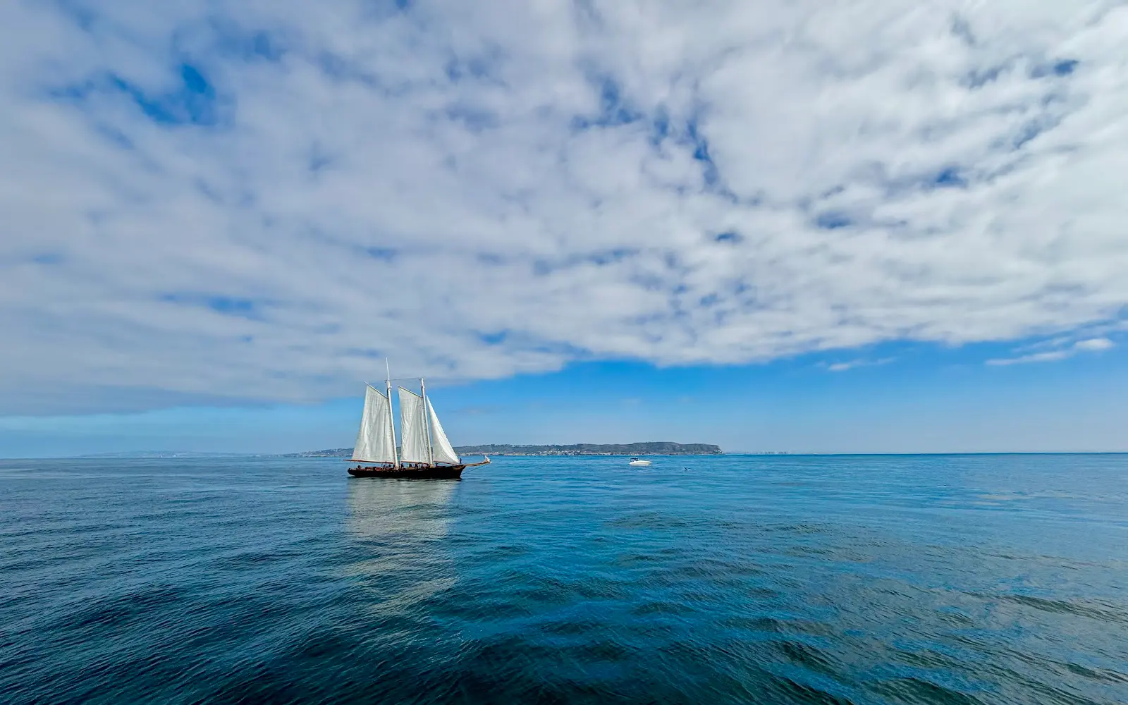 Legacy Whale Watch