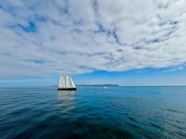 Legacy Whale Watch