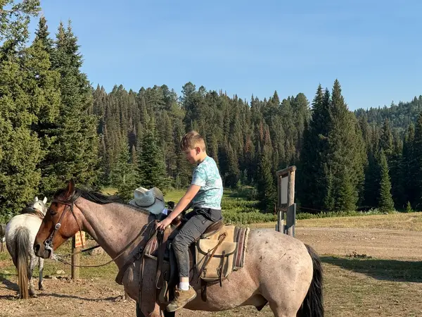 Leigh Creek Outfitters LLC