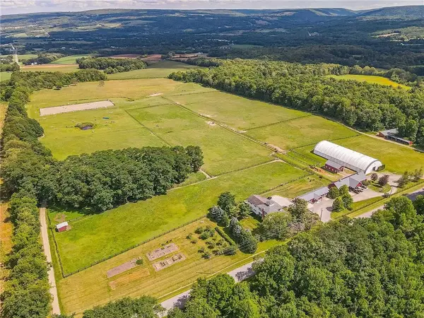 Letchworth Farm Guesthouses & Trail Rides