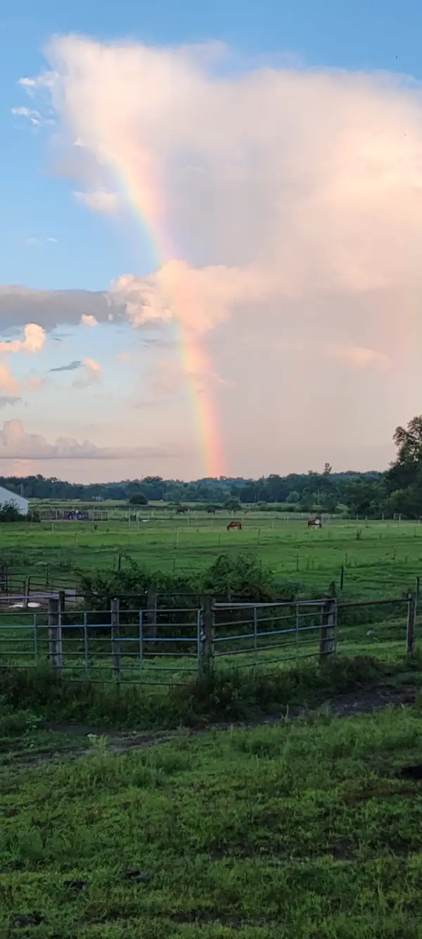 Lewis Bottoms Farms LLC