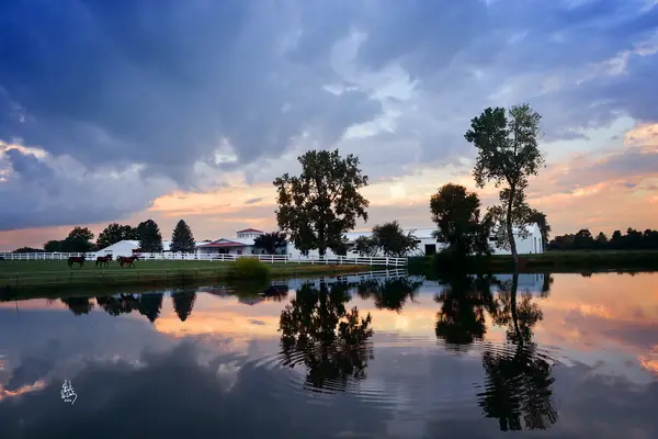 Liberty Meadows Training Center