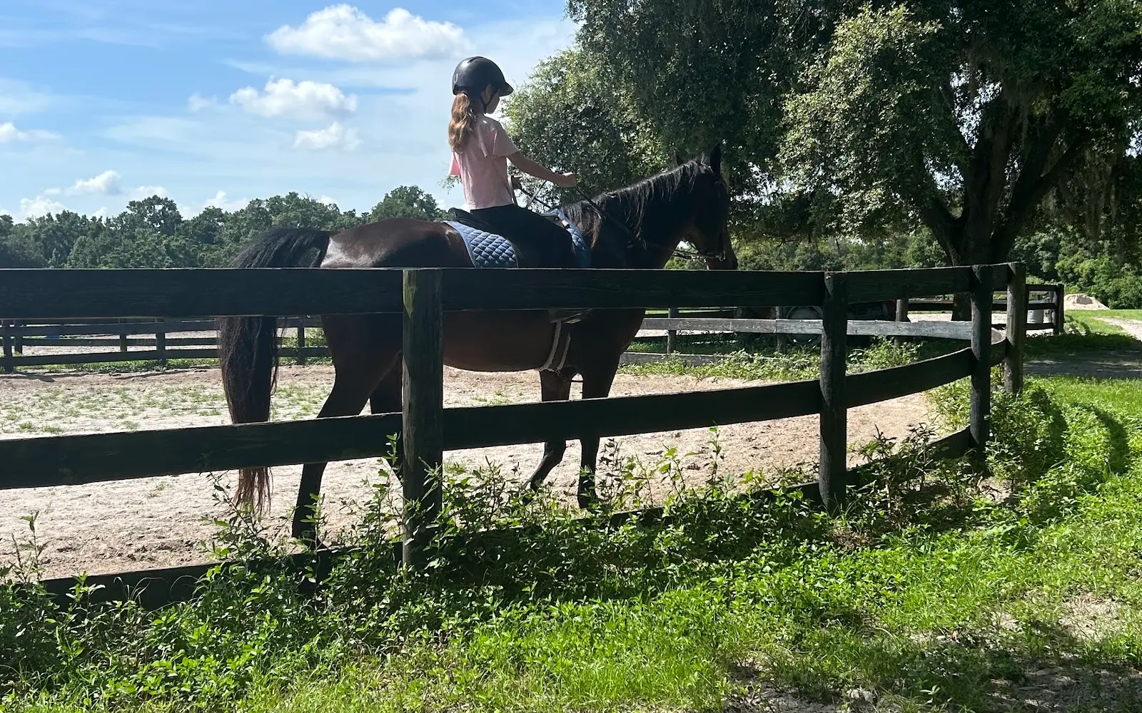 Licciardello Stables