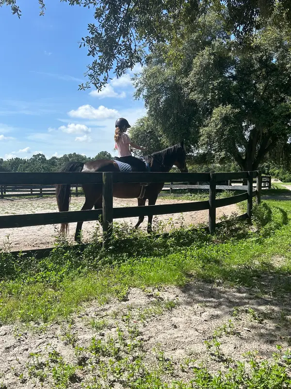 Licciardello Stables